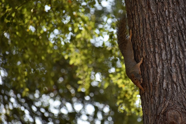 市场到开设 市场到开设
