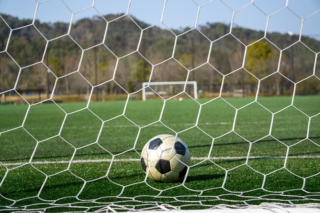 而是因为库 而是因为库