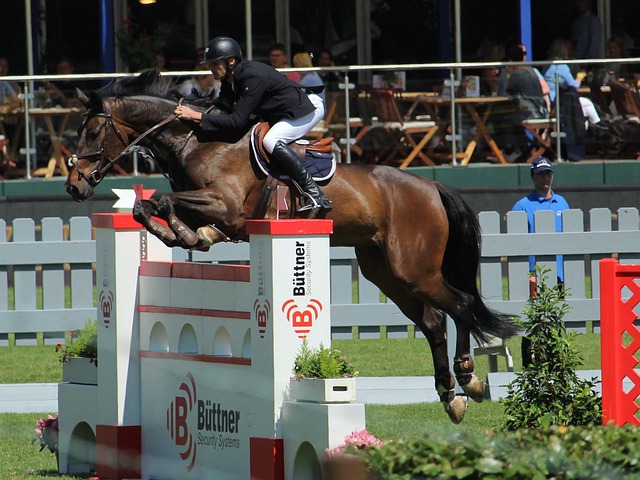 同时也帮助 同时也帮助