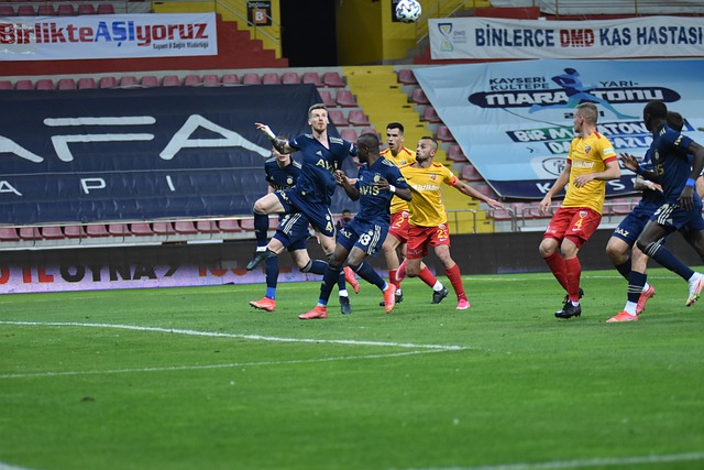 会的历史书 会的历史书