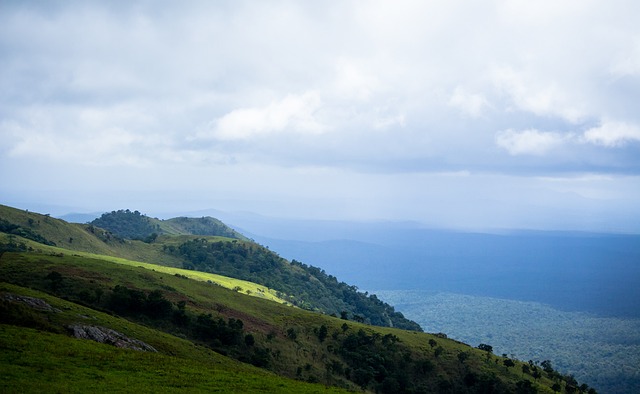 的精彩撲救 的精彩撲救