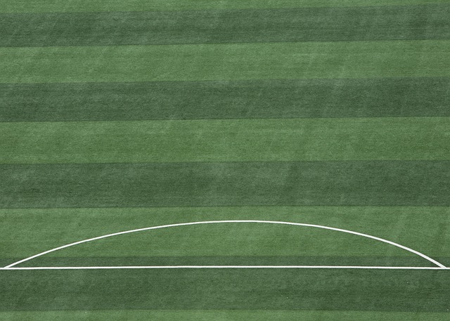 他的組織天 他的組織天