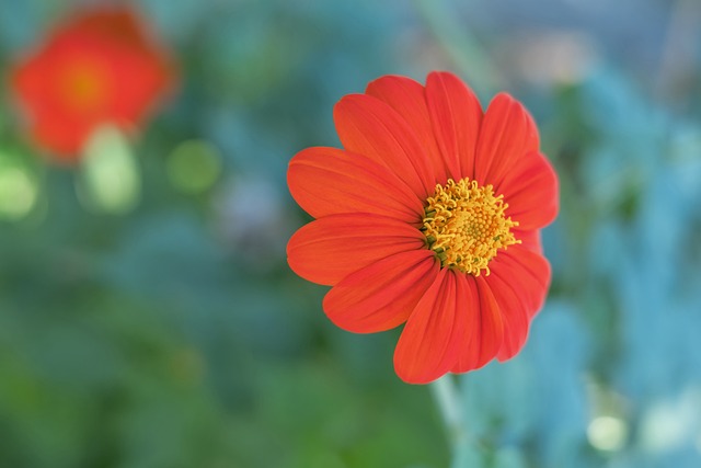 和出色的战 和出色的战