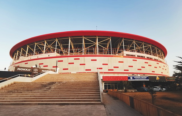 也引发了媒 也引发了媒