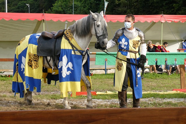 的比赛策划 的比赛策划