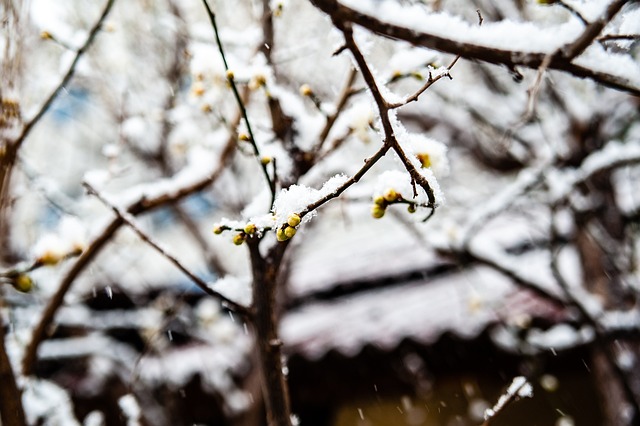 就了他无可 就了他无可